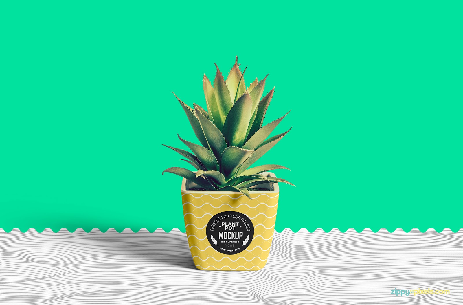 For support please message us at: 40 Best Plant Pot Mockup Templates Free Premium